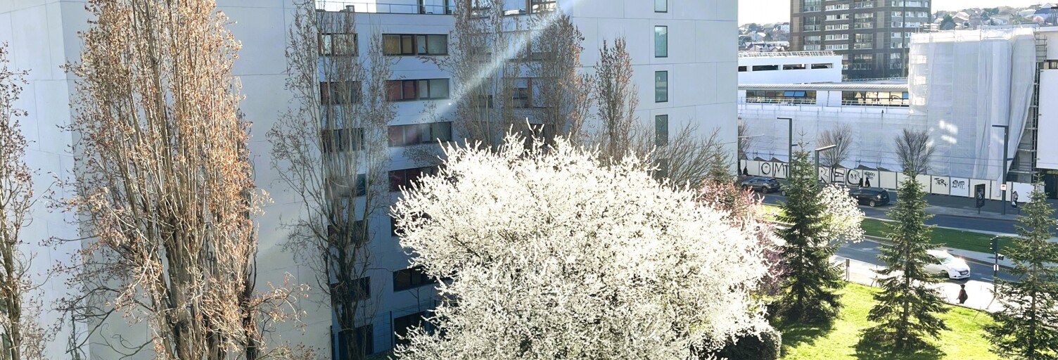 Appartement 3 Pièces 56 m² à vendre à Ivry-sur-Seine (94200)