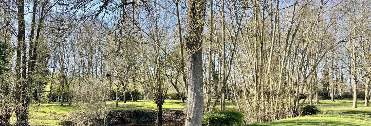 Appartement 2 Pièces 48 m² à louer à Saintry-sur-Seine (91250)