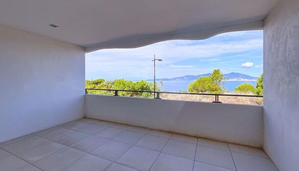 Appartement 2 pièces  à vendre Pietrosella 20166