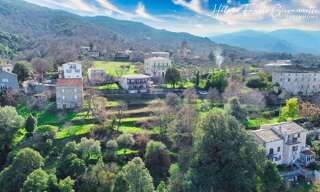 Terrain  1984 m² à vendre à Rapale (20246)