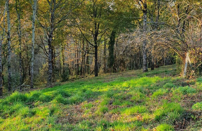 Terrain 1800 m2 COSNAC — photo 2