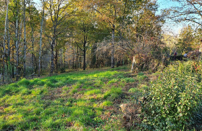 Terrain 1800 m2 COSNAC — photo 3