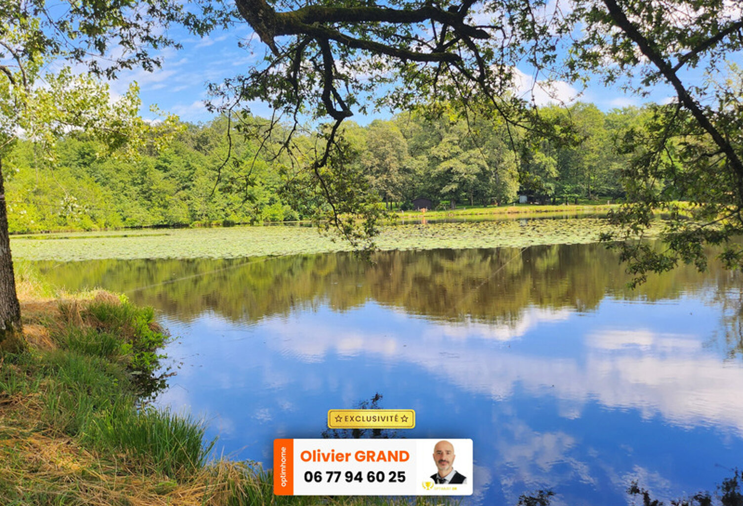 ETANG + TERRAIN DE LOISIR + FORET DE CHENES - PROCHE CENTRE-BOURG — photo 1
