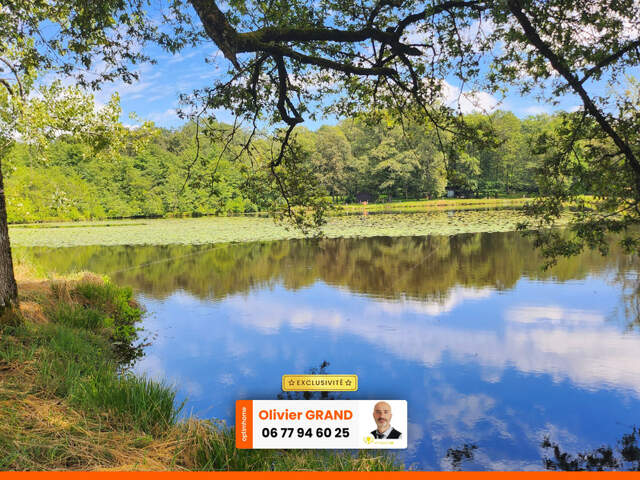 ETANG + TERRAIN DE LOISIR + FORET DE CHENES - PROCHE CENTRE-BOURG — photo du bien