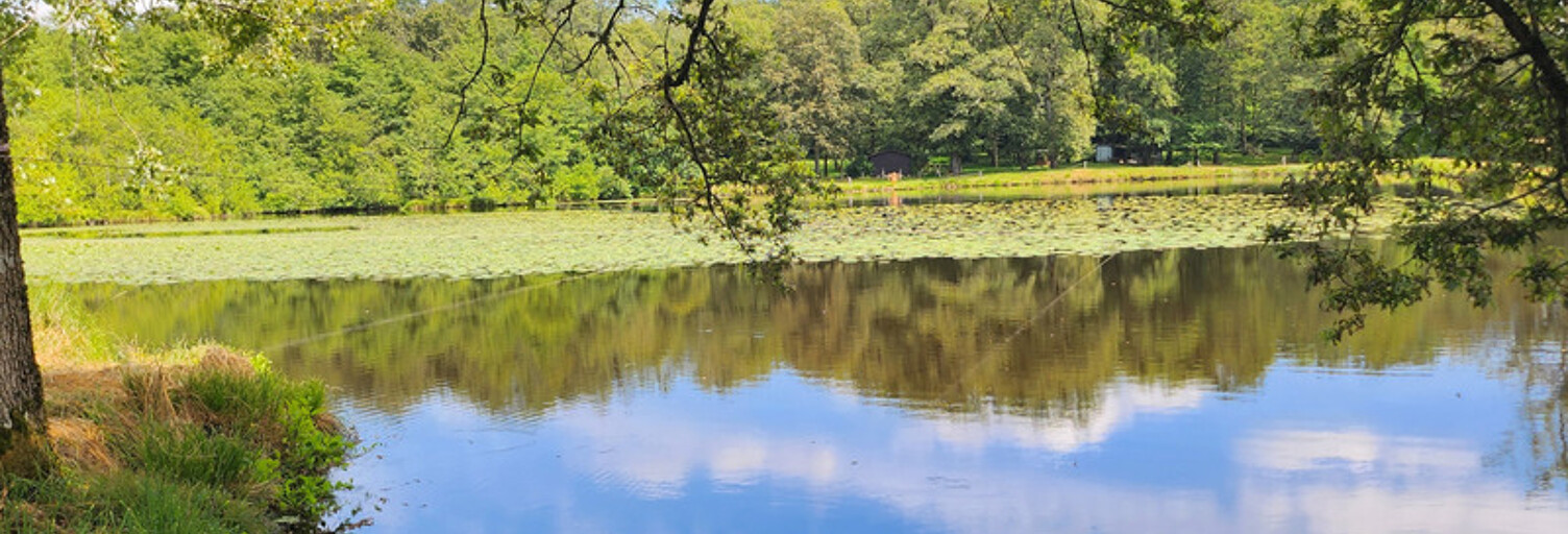 Maison  86771 m² à vendre à Oradour-sur-Glane (87520)