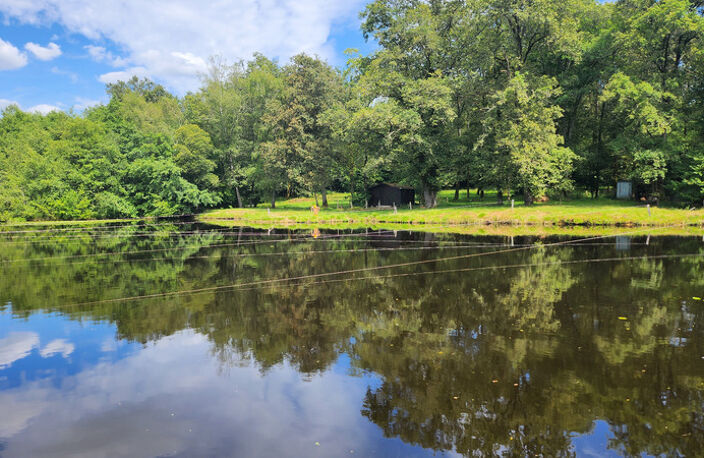 ETANG + TERRAIN DE LOISIR + FORET DE CHENES - PROCHE CENTRE-BOURG — photo 3
