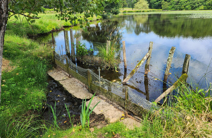 ETANG + TERRAIN DE LOISIR + FORET DE CHENES - PROCHE CENTRE-BOURG — photo 4