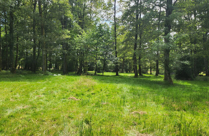 ETANG + TERRAIN DE LOISIR + FORET DE CHENES - PROCHE CENTRE-BOURG — photo 5