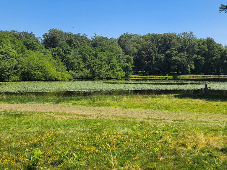 ETANG + TERRAIN DE LOISIR + FORET DE CHENES - PROCHE CENTRE-BOURG — photo 1