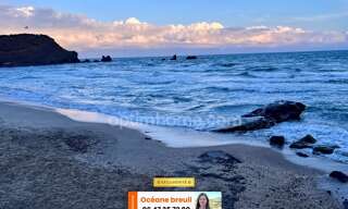 Appartement 1 Pièce 28 m² à vendre à Agde (34300)