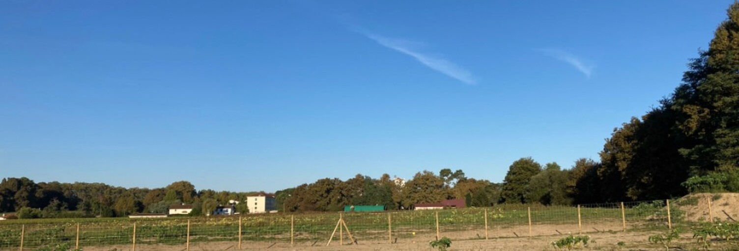 Terrain  402 m² à vendre à Seyresse (40180)