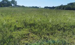 Terrain  747 m² à vendre à Beaumont-sur-Lèze (31870)