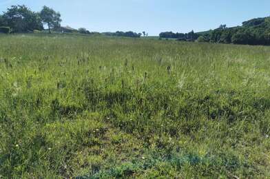 Terrain  118000 €