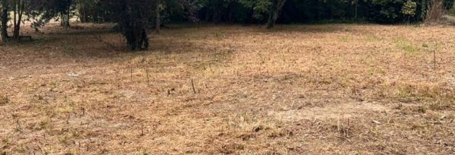 Terrain  1732 m² à vendre à Noé (31410)