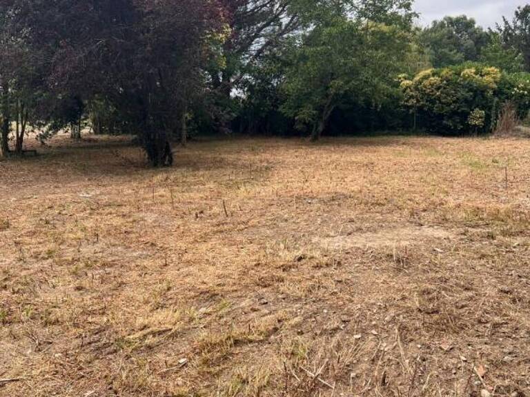 Terrain Noé 1732 m² - — photo 1