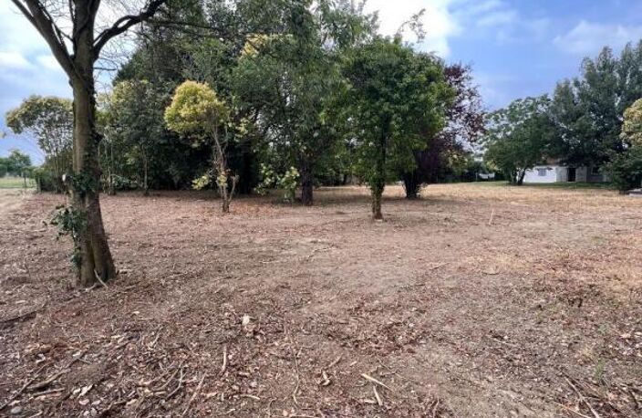 Terrain Noé 1732 m² - — photo 2