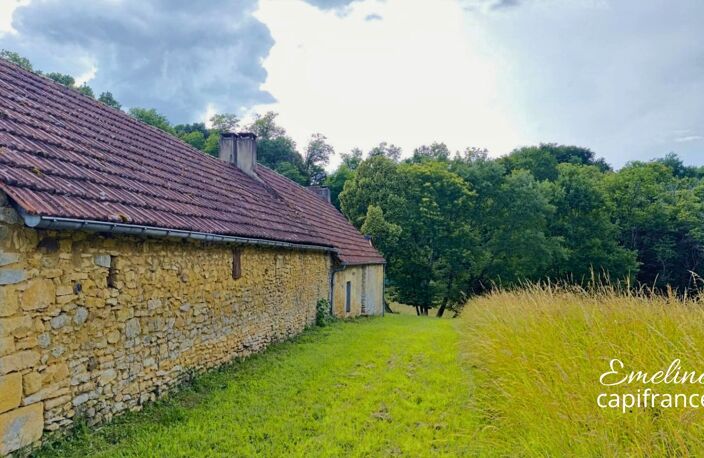 Maison périgourdine familiale avec dépendances — photo 4