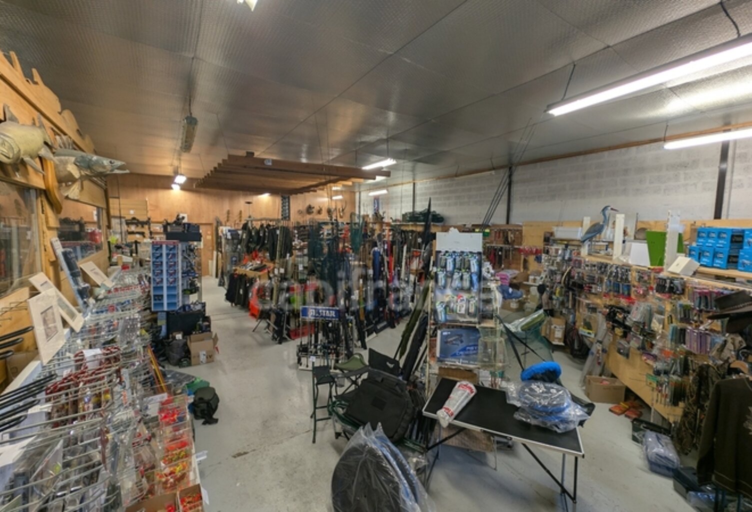 Dpt Calvados (14), à vendre FALAISE - Fonds de Commerce d'Armurerie, Chasse, Pêche et Apiculture — photo 1