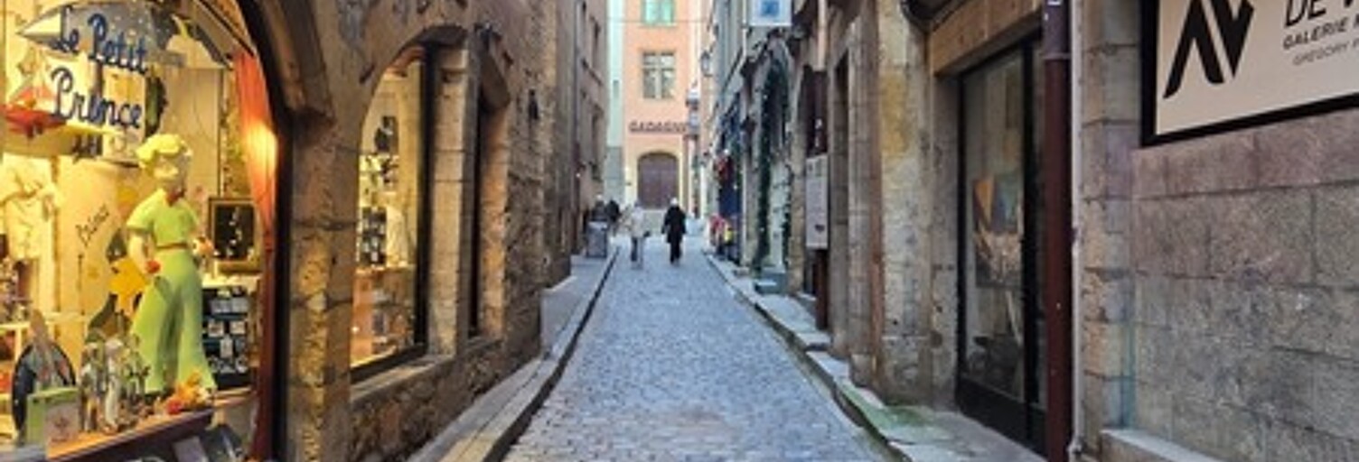 Appartement 1 Pièce 23 m² à vendre à Lyon 5 (69005)