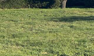 Terrain 600 m² à construire Rians (83560)