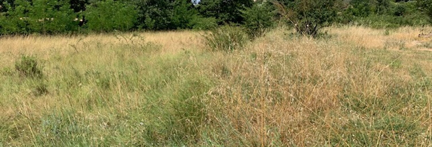 Terrain 1000 m² à construire Draguignan (83300)