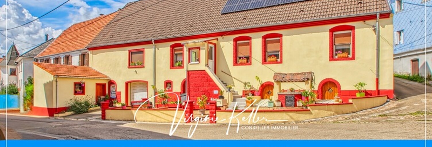 Maison 130 m² en viager Lemberg (57620)