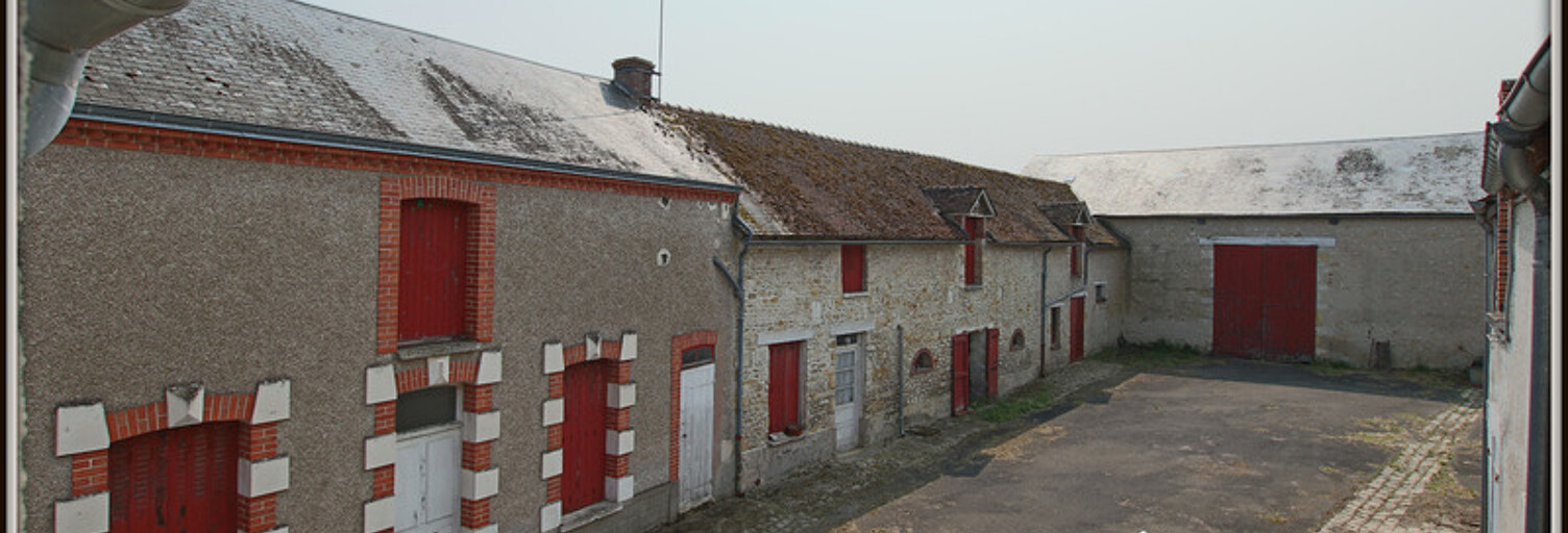 Maison 9 Pièces 190 m² à vendre à La Neuville-sur-Essonne (45390)