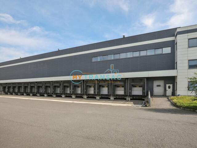 A LOUER entrepôt logistique froid négatif 6 897m² Chilly-Mazarin — photo du bien