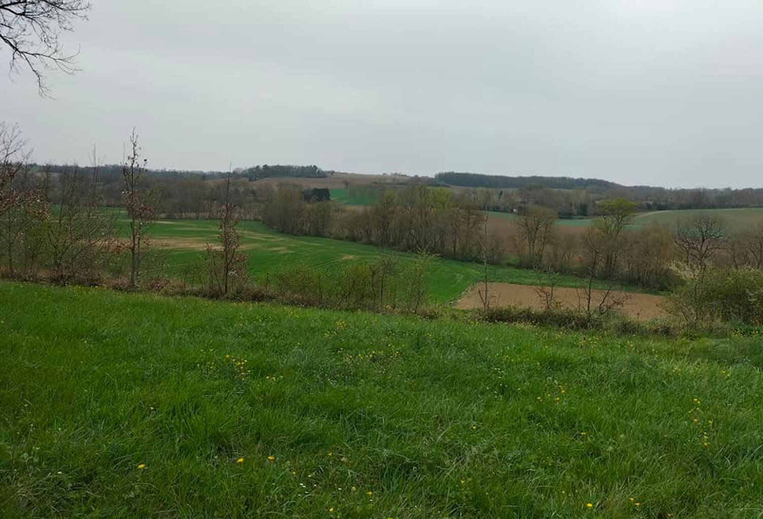 Terrain viabilisé 3495m² Saint Clar (32380) 1 parcelle 17m² — photo 1