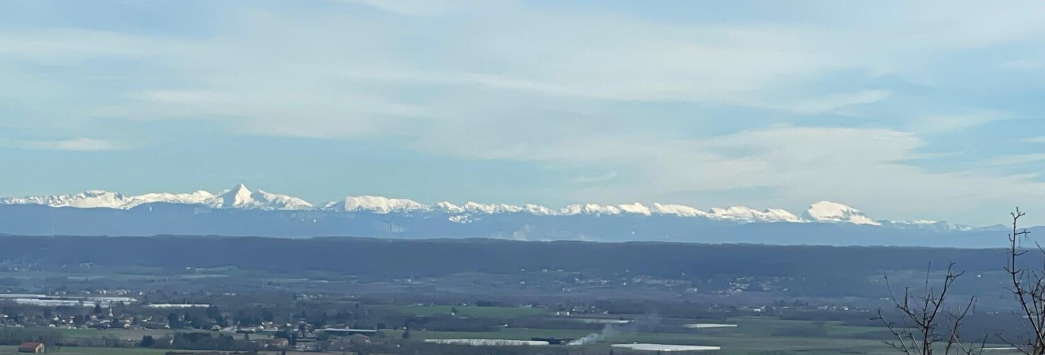 Photo N° 2