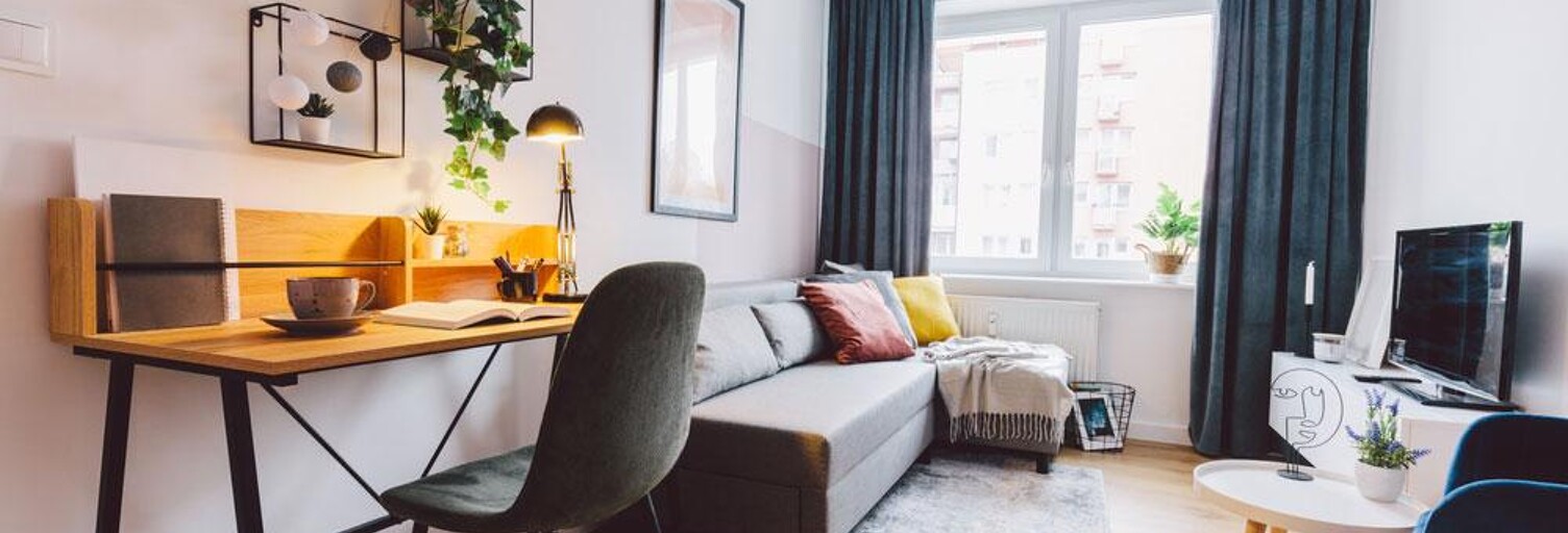 Appartement 1 Pièce 28 m² à vendre à Strasbourg (67000)