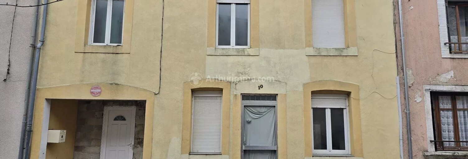 Maison 11 Pièces 220 m² à vendre à Bourbonne-les-Bains (52400)