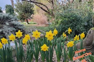 Maison 5 pièces 243000 €