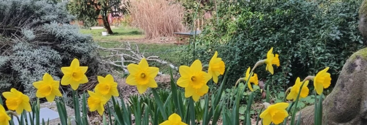 Maison 5 Pièces 95 m² à vendre à Marmande (47200)