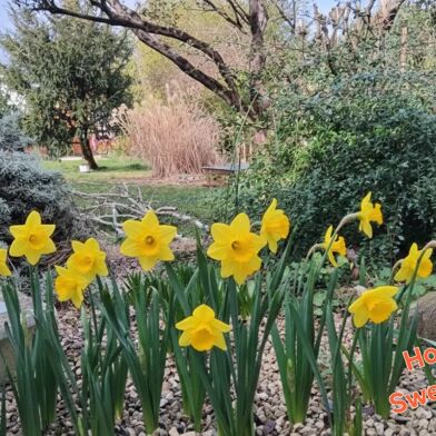 Maison 5 pièces 243000 €