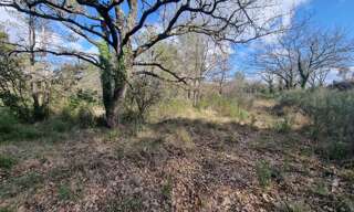 Terrain  9951 m² à vendre à Le Luc (83340)