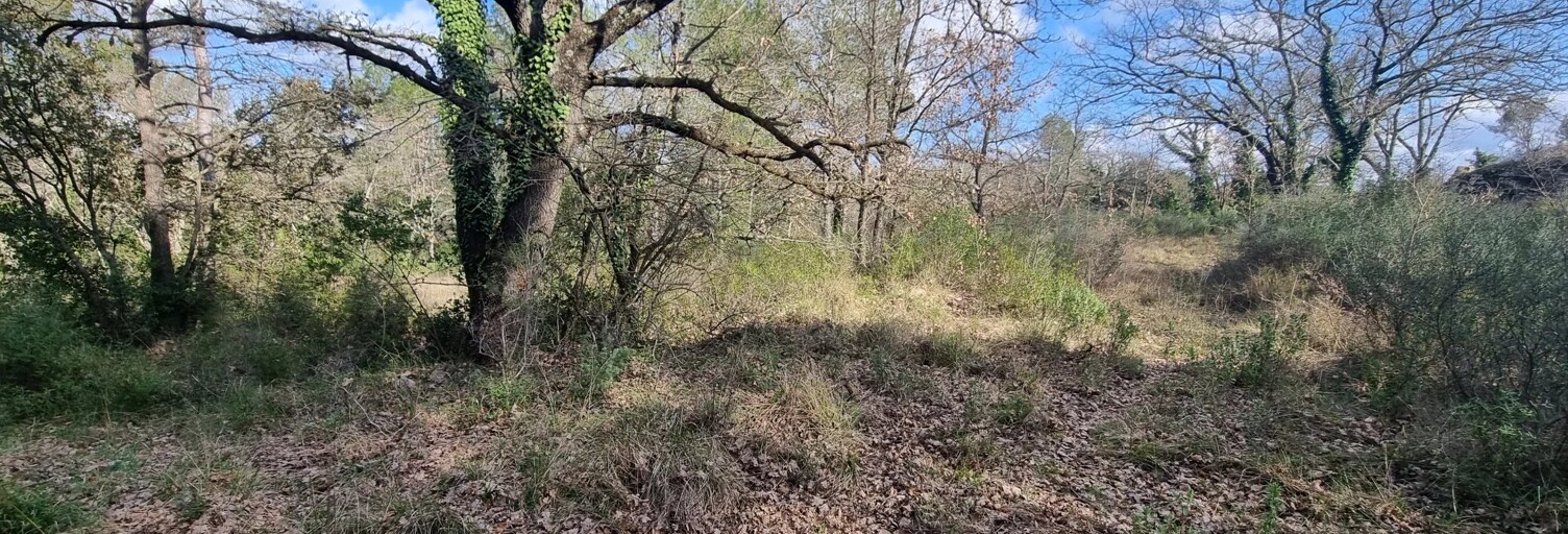 Terrain  9951 m² à vendre à Le Luc (83340)