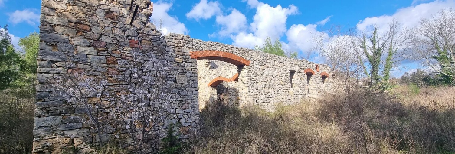 Terrain  9951 m² à vendre à Le Luc (83340)