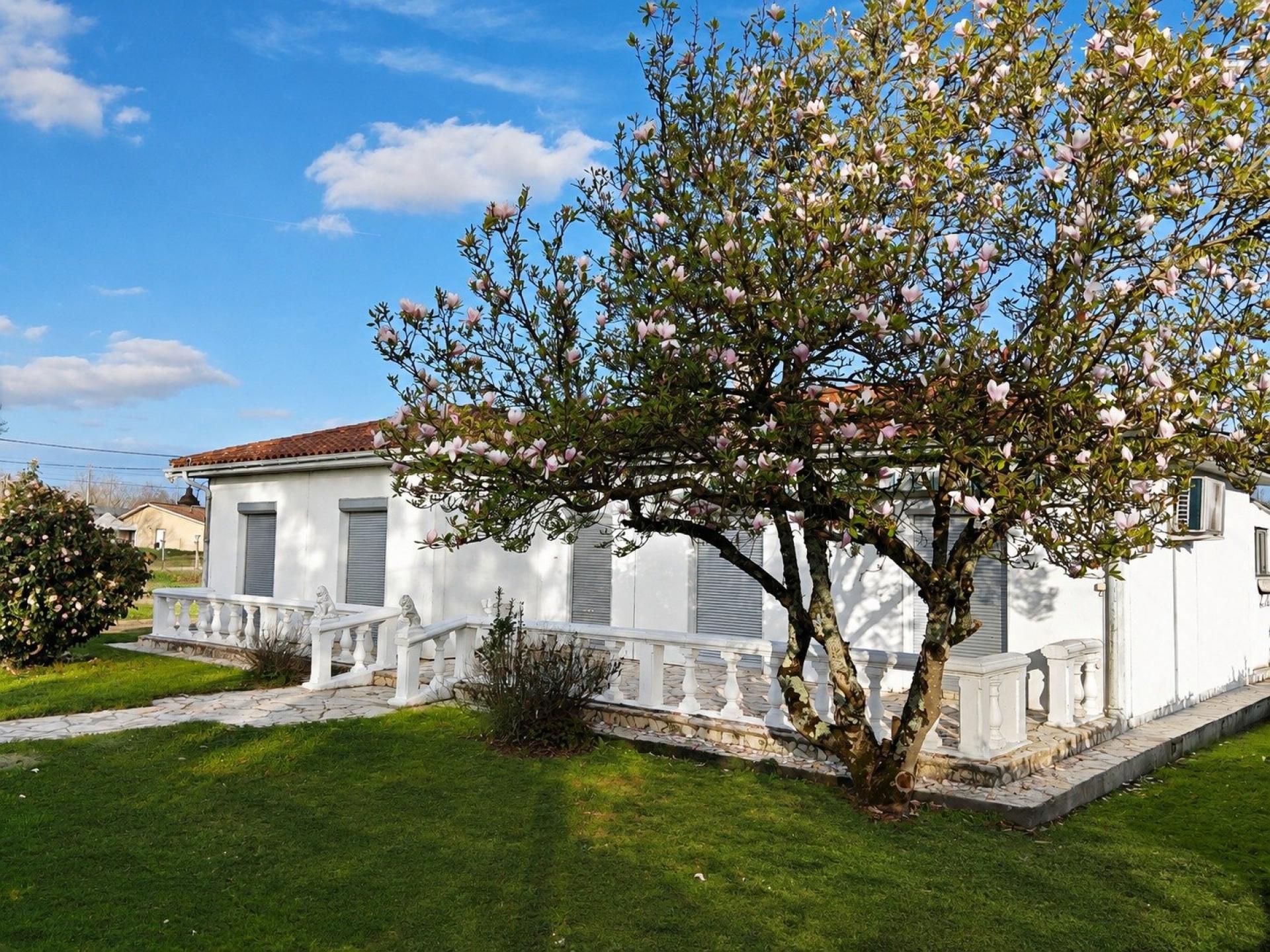 Agence immobilière de SAFTI