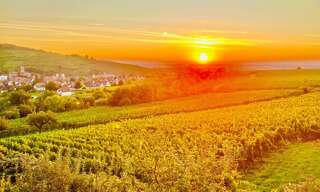 Appartement 4 Pièces 96 m² à vendre à Mittelwihr (68630)