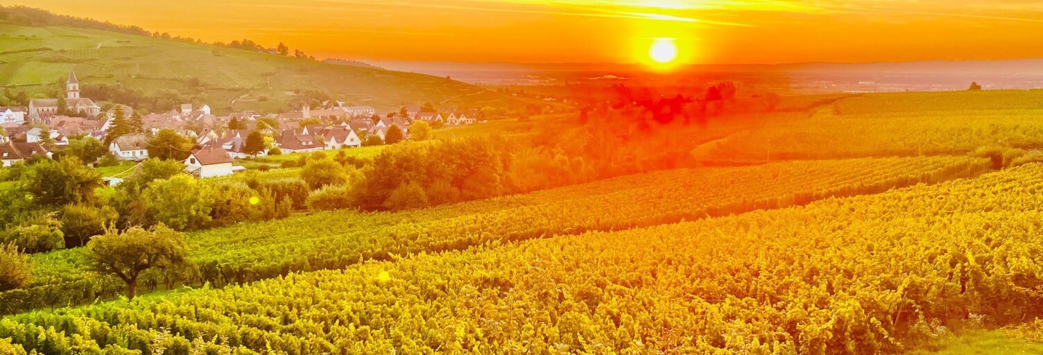 Appartement 4 Pièces 96 m² à vendre à Mittelwihr (68630)