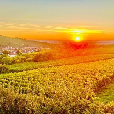 Appartement 4 pièces 239000 €