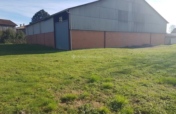 Entrepôt 600m2  sur terrain de 5416m2 — photo 3