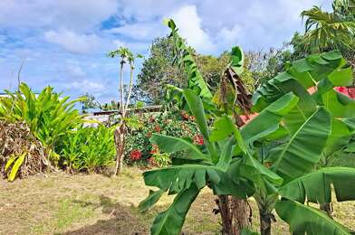 Maison 4 pièces 1100 €