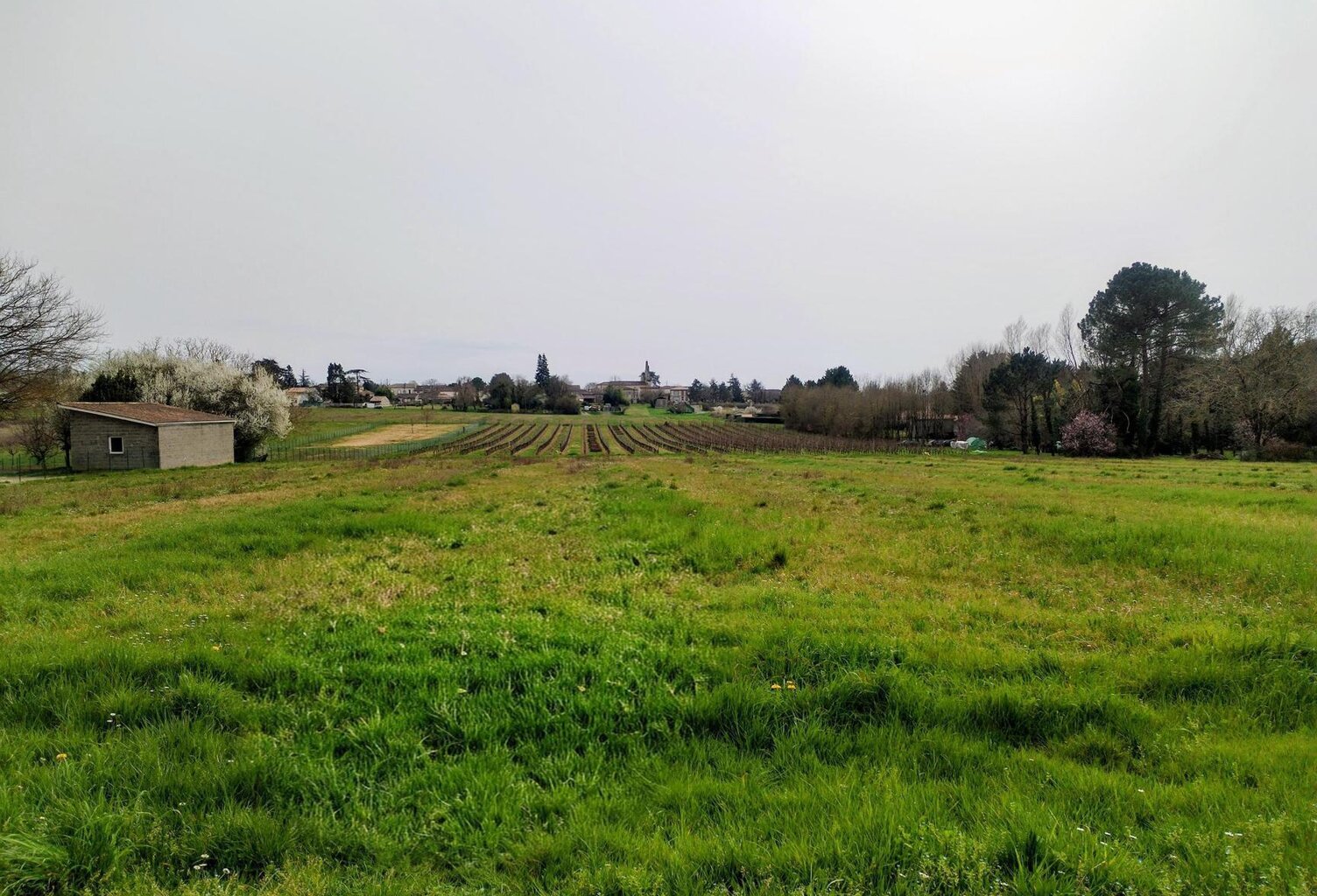 Vente terrain  755 m² Frontenac (33760) — photo 1