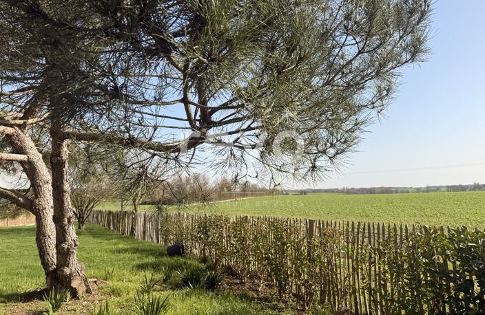 Longere — photo 5