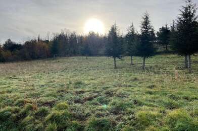 Terrain  12000 €