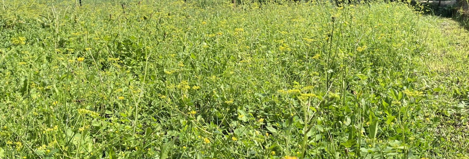 Maison 5 Pièces 148 m² à vendre à Bénestroff (57670)