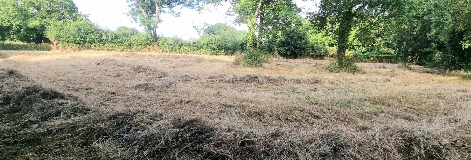 Terrain  1810 m² à vendre à Saint-Laurent-de-la-Salle (85410)