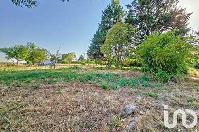Terrain  61000 €